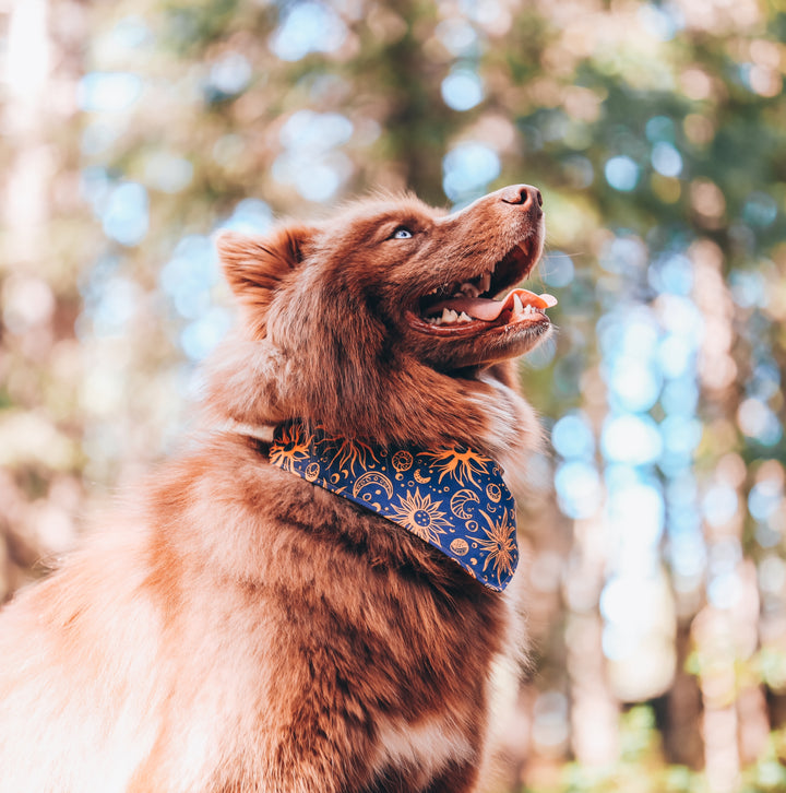 Celestial Sun Moon & Stars Dog Bandana
