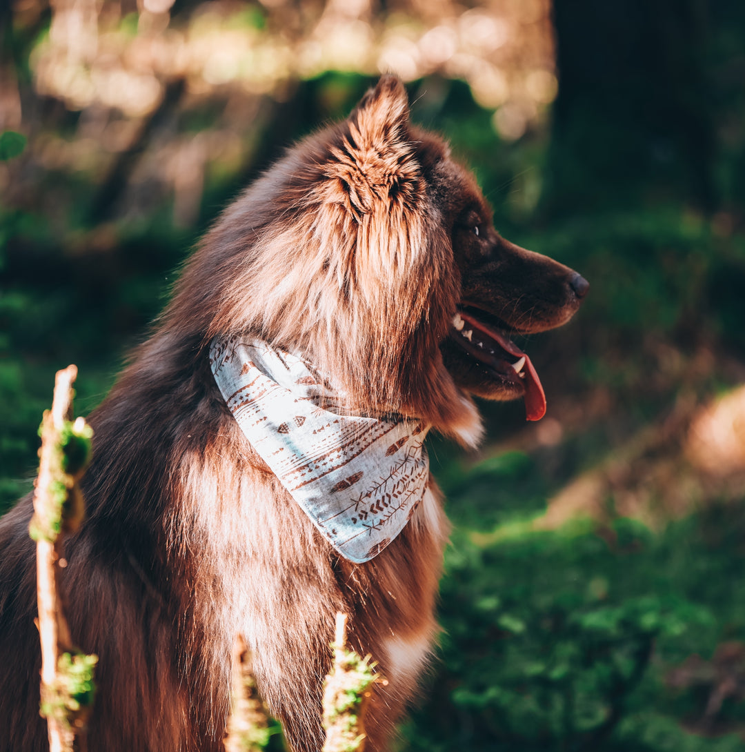 Boho Dunes Tribal Dog Bandana