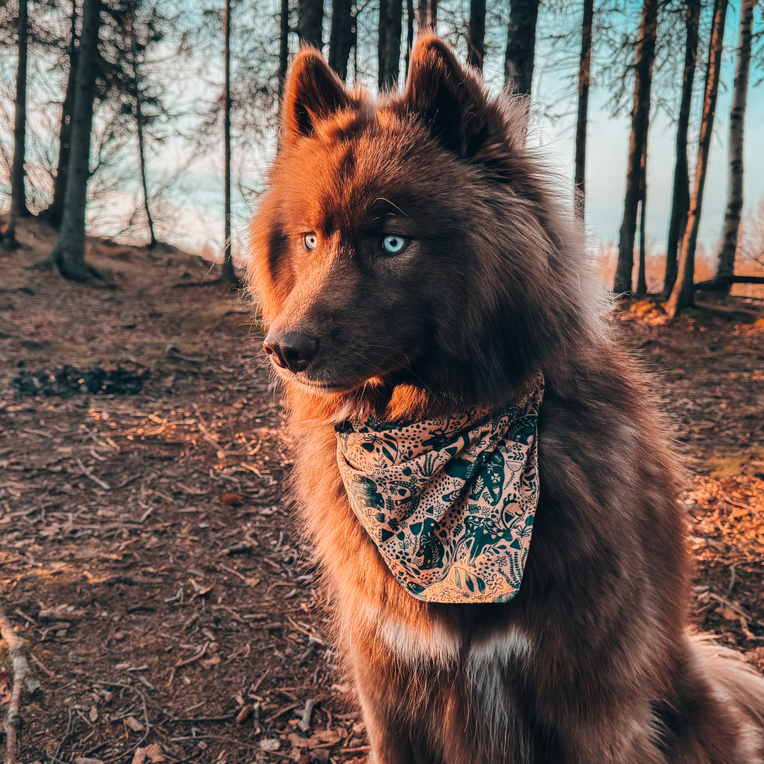 Woodland Animals Dog Bandana