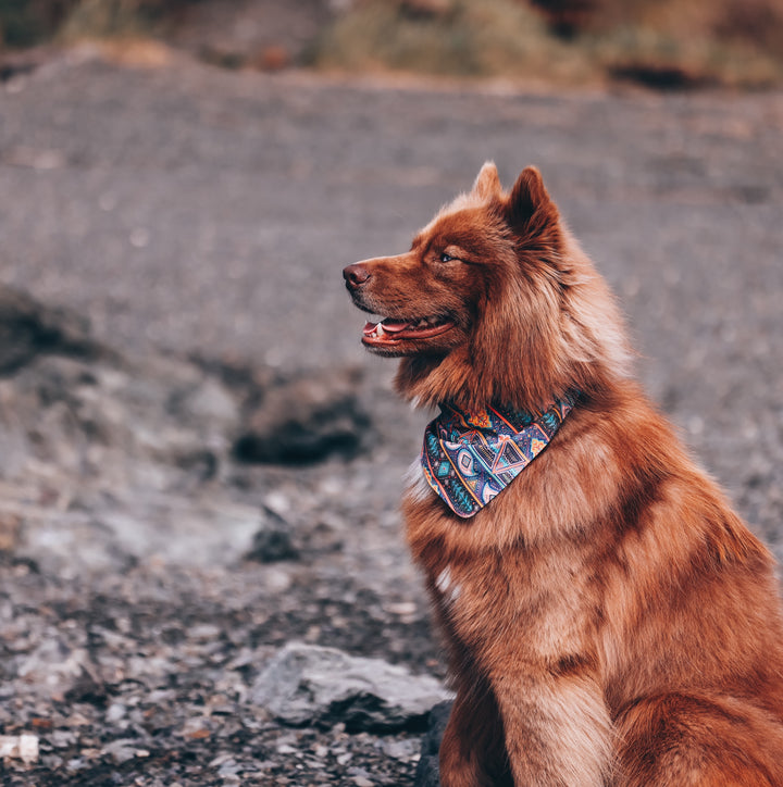 Geometric Gypsy Dog Bandana