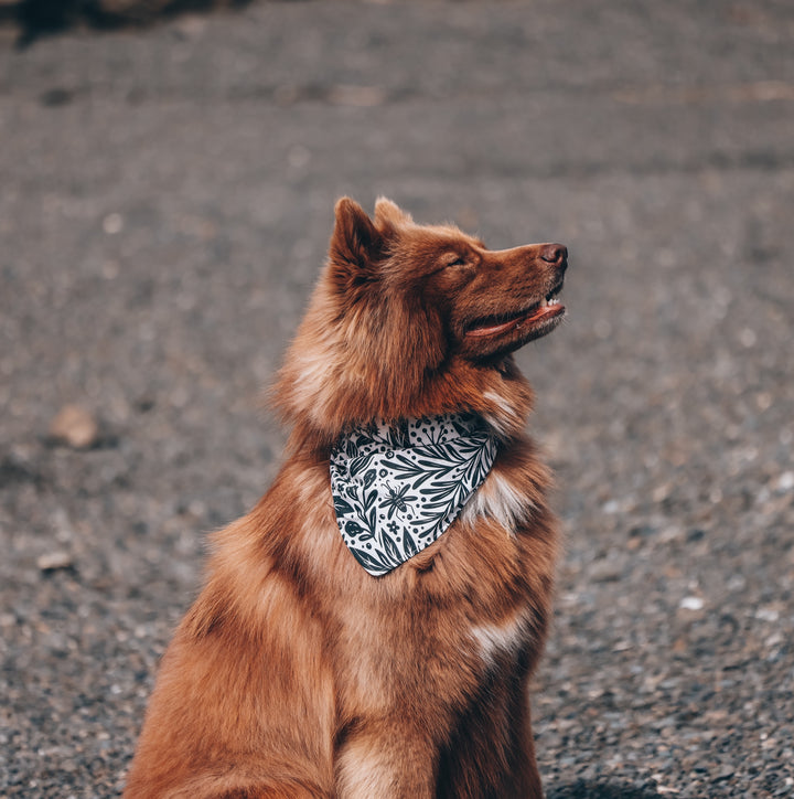 Insects in the Garden Dog Bandana