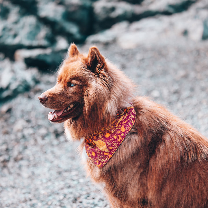 Pink Alien & Spaceship Dog Bandana