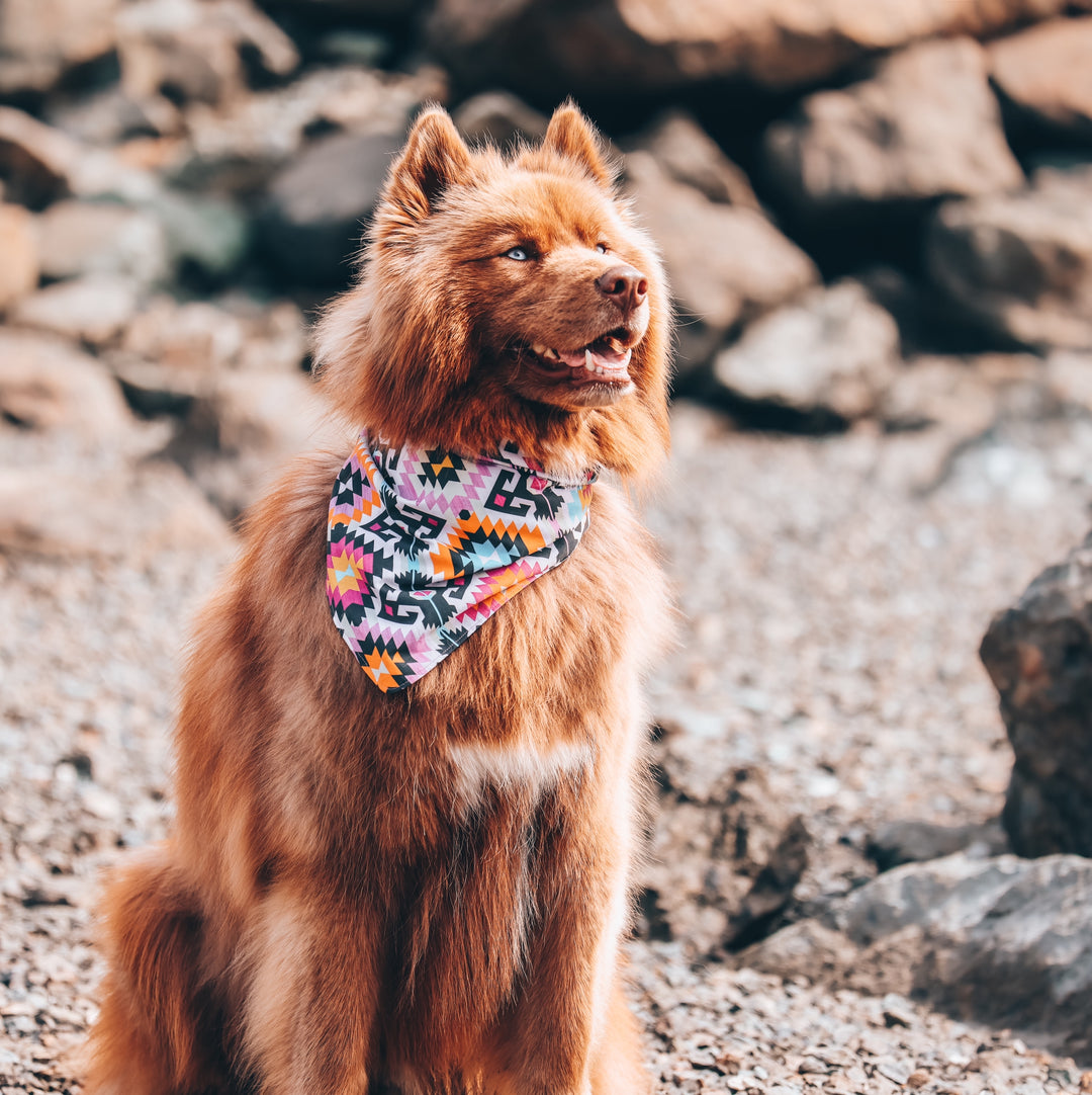 Pink Eclectic Aztec Dog Bandana
