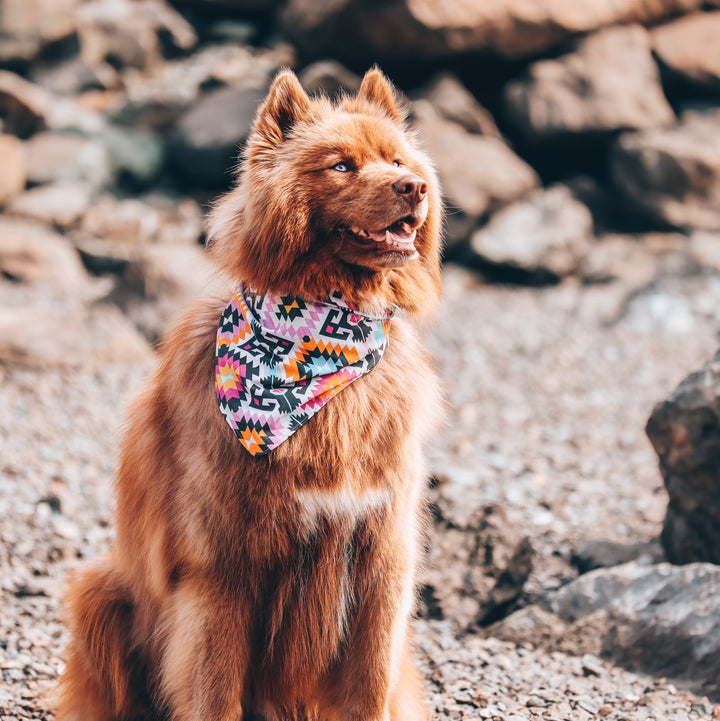 Pink Eclectic Aztec Dog Bandana