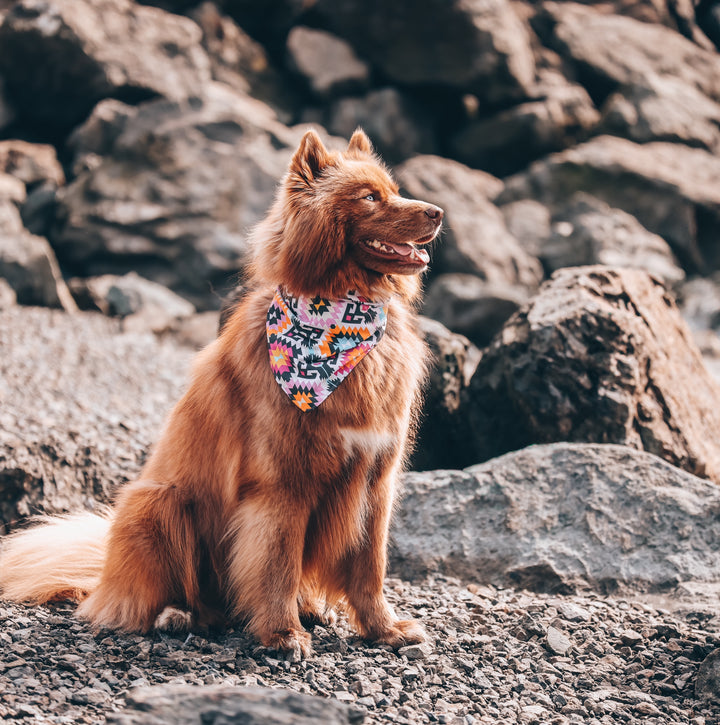 Pink Eclectic Aztec Dog Bandana