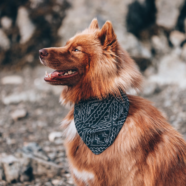 African Tribal Black & White Dog Bandana