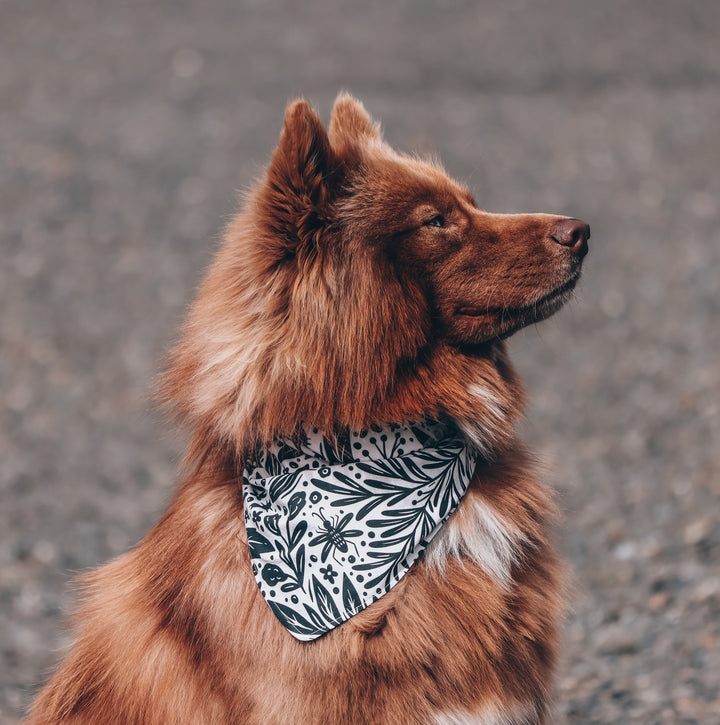 Insects in the Garden Dog Bandana