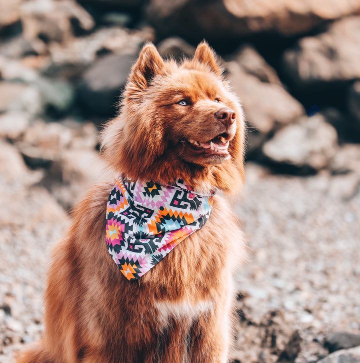 Pink Eclectic Aztec Dog Bandana