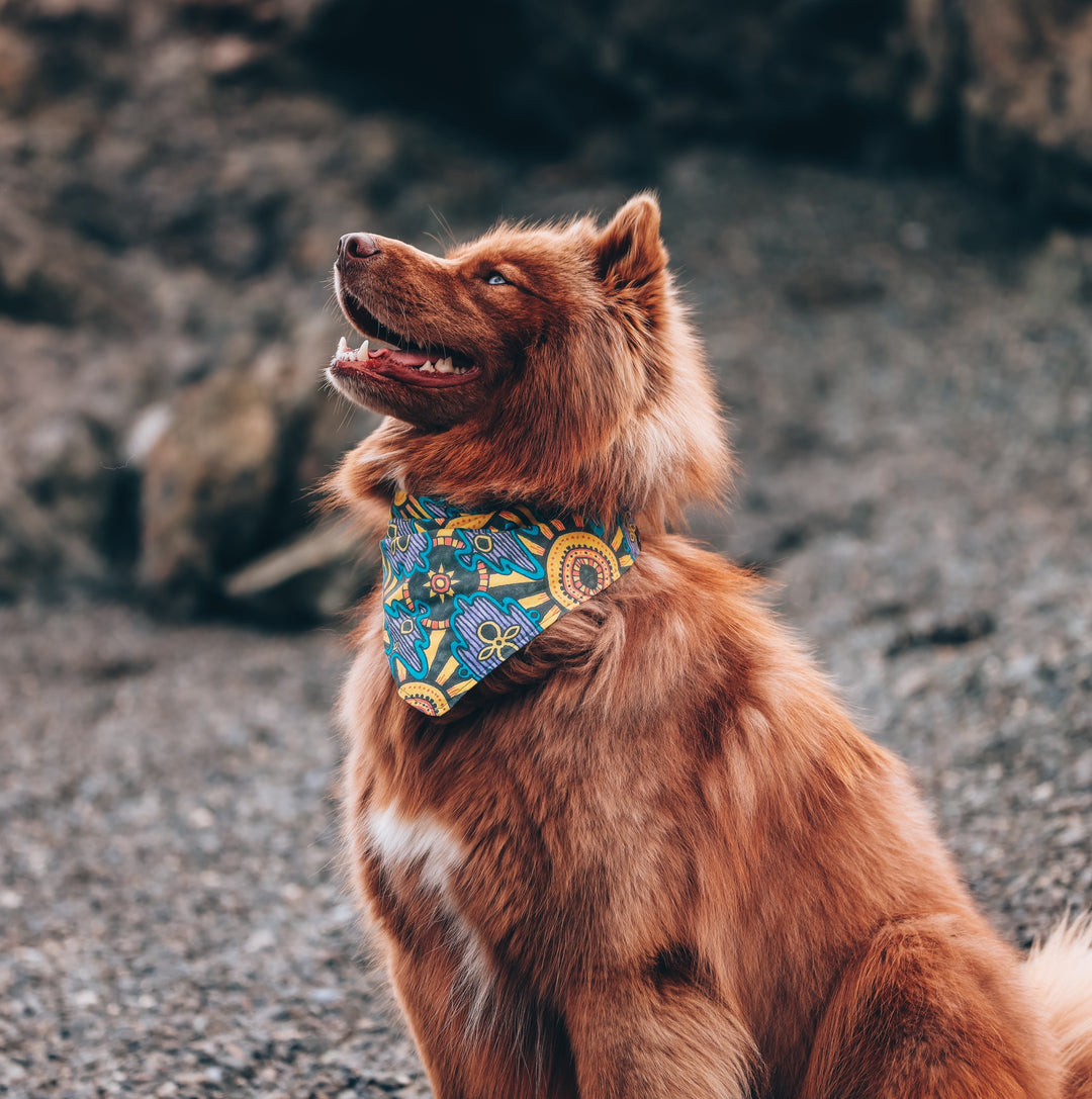 Mexican Sun Dog Bandana