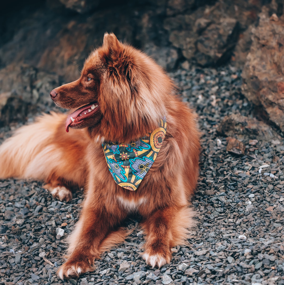Mexican Sun Dog Bandana