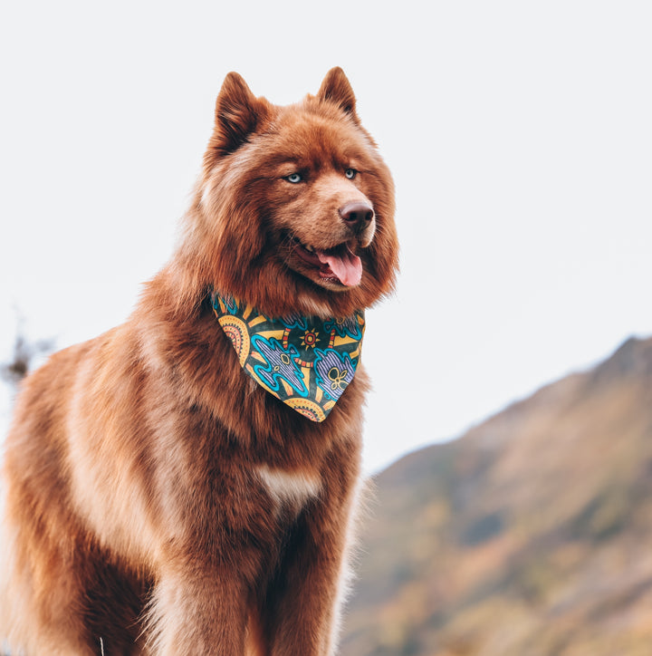 Mexican Sun Dog Bandana