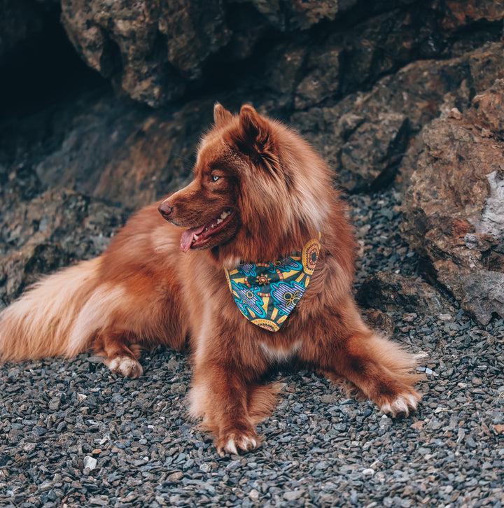 Mexican Sun Dog Bandana