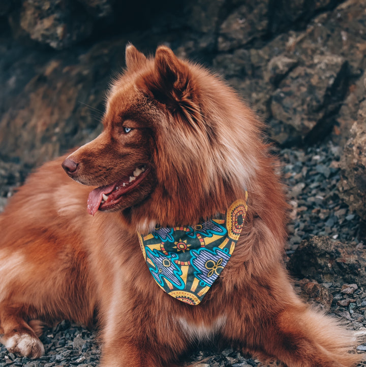 Mexican Sun Dog Bandana