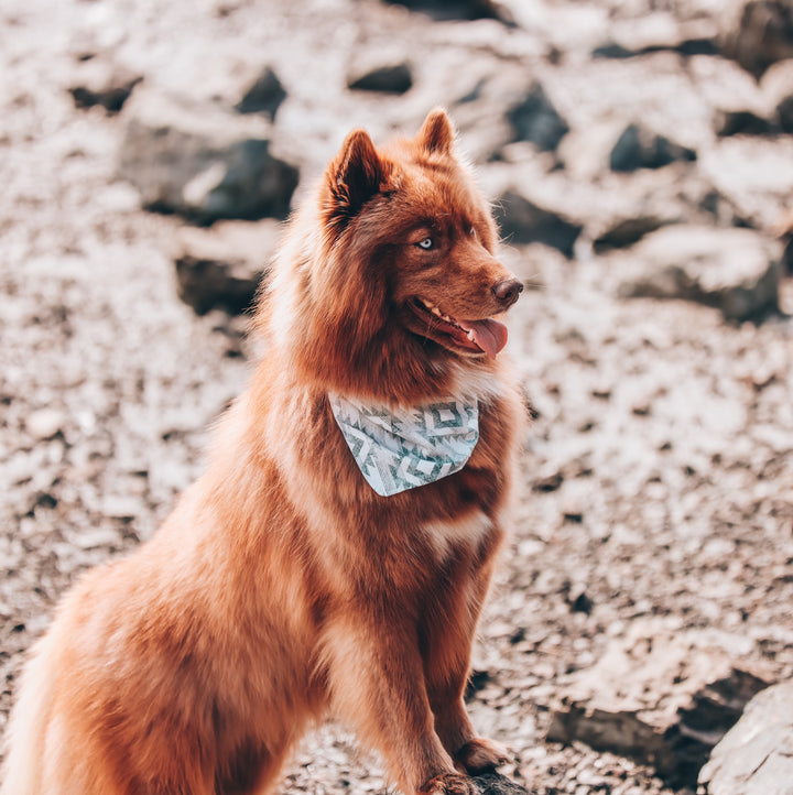 Gray Peaks Aztec Dog Bandana