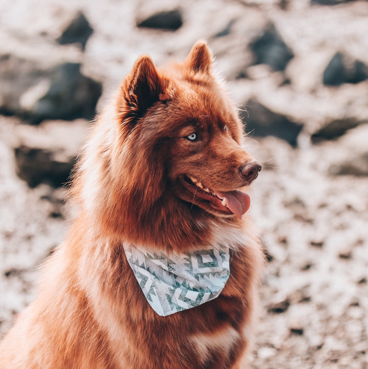 Gray Peaks Aztec Dog Bandana