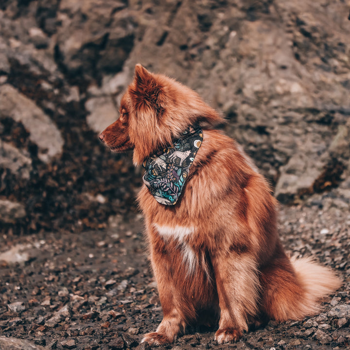 Whimsical Wolves Dog Bandana