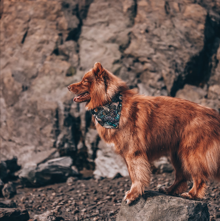 Whimsical Wolves Dog Bandana