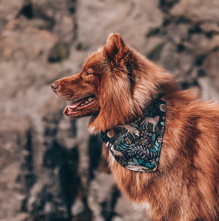 Whimsical Wolves Dog Bandana