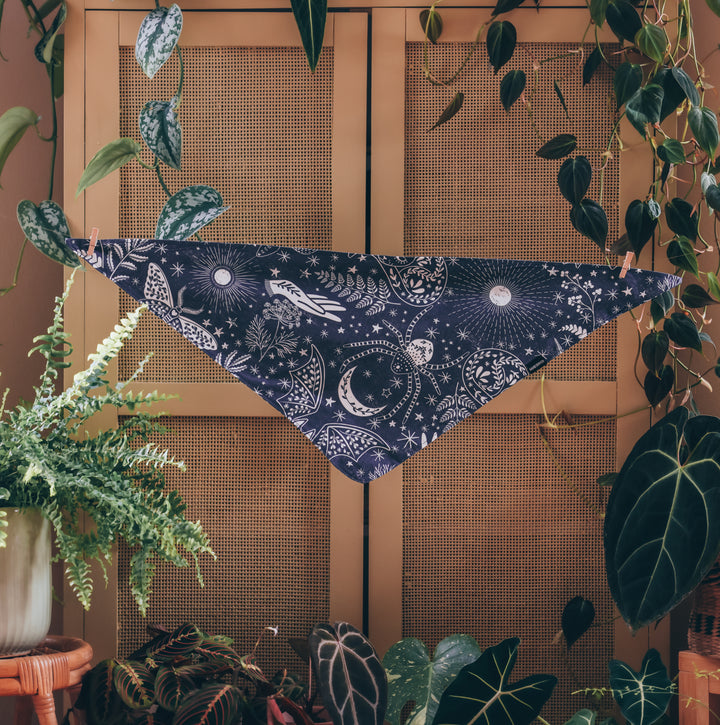 Eclectic Night Creatures Dog Bandana