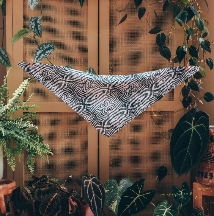 Safari Zebra Dog Bandana