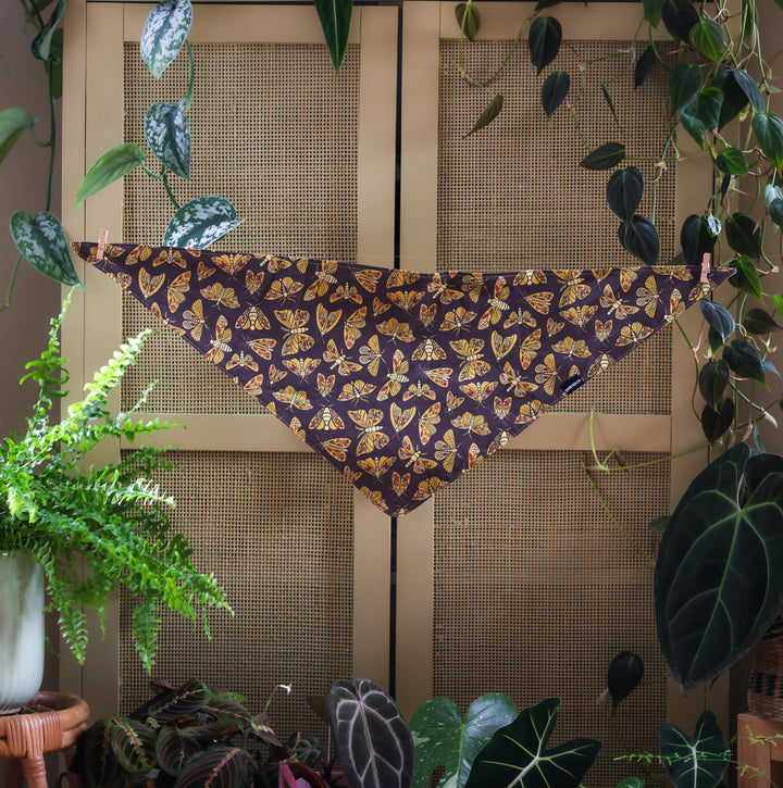 Retro Moth Insect Dog Bandana
