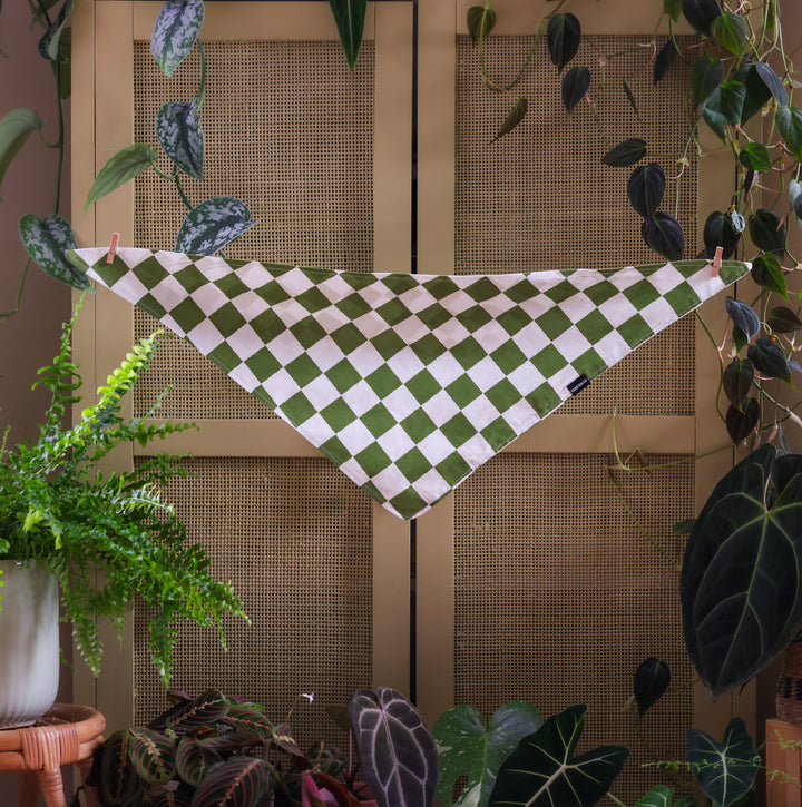 Green & White Checkered Dog Bandana
