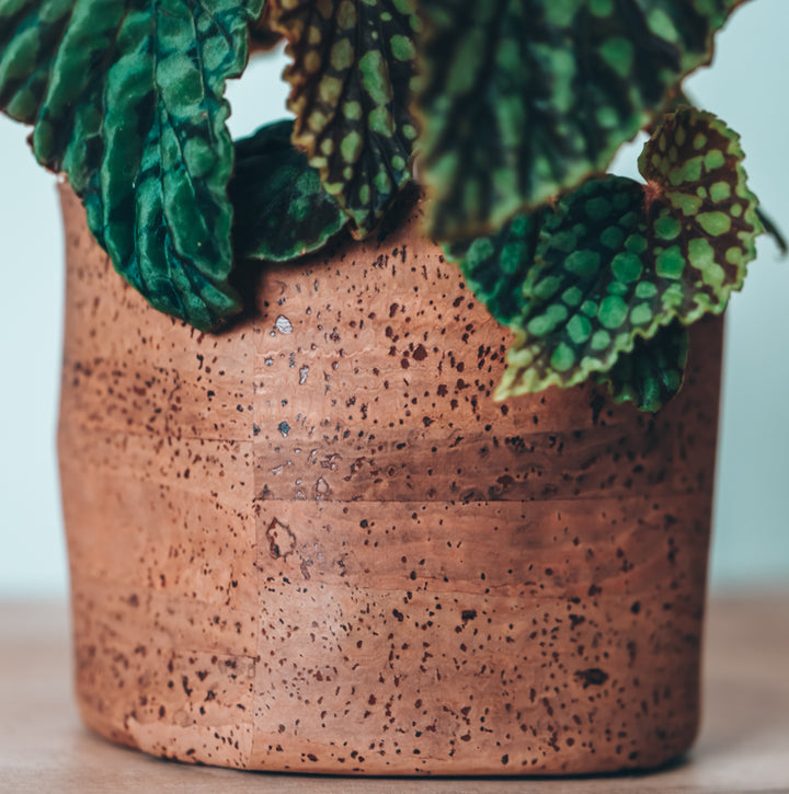 Mocha Brown Cork Planter Cover Pot • Multiple Sizes