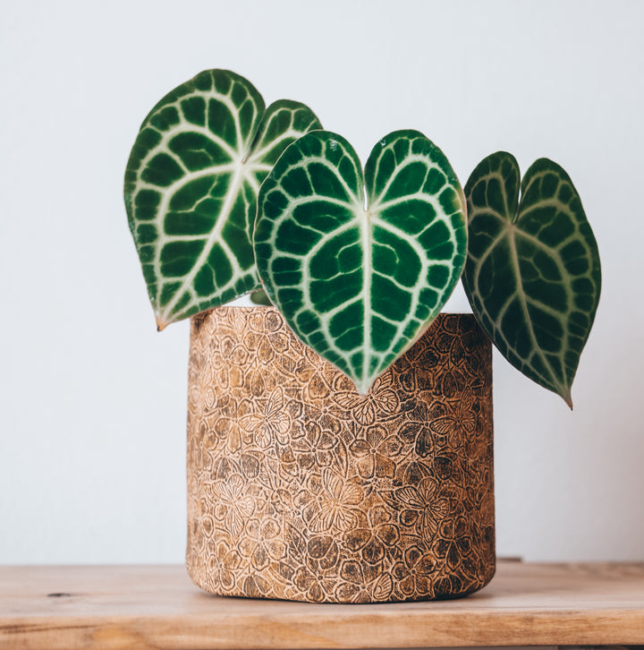 Rustic Flowers & Butterflies Cork Planter Cover Pot
