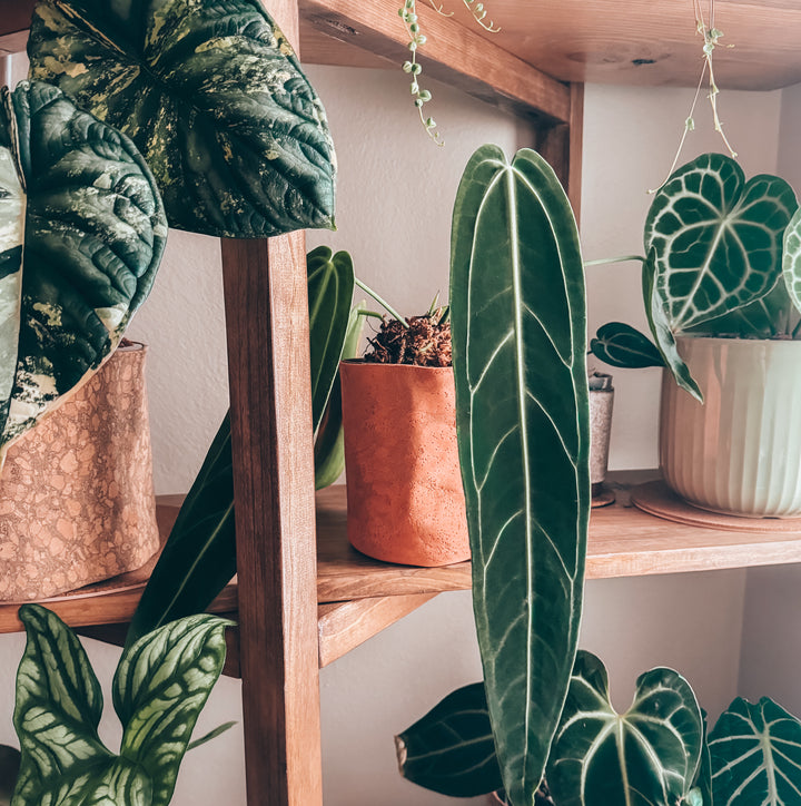 Retro Muted Orange Cork Planter Cover Pot