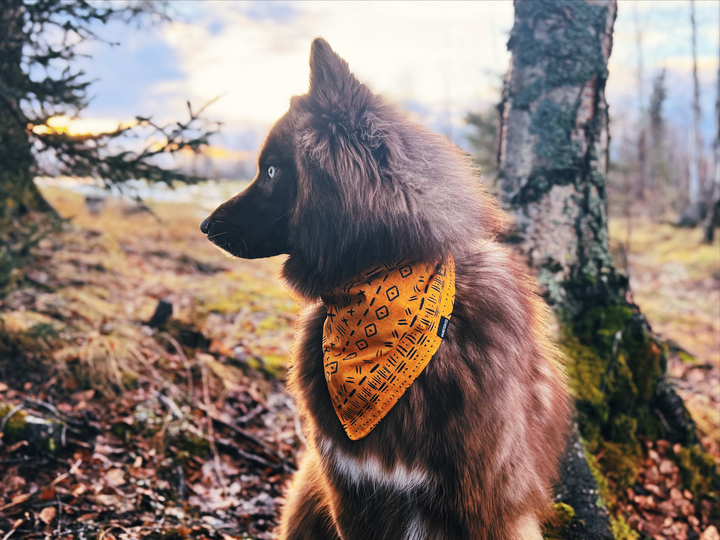 Mustard Aztec Dog Bandana